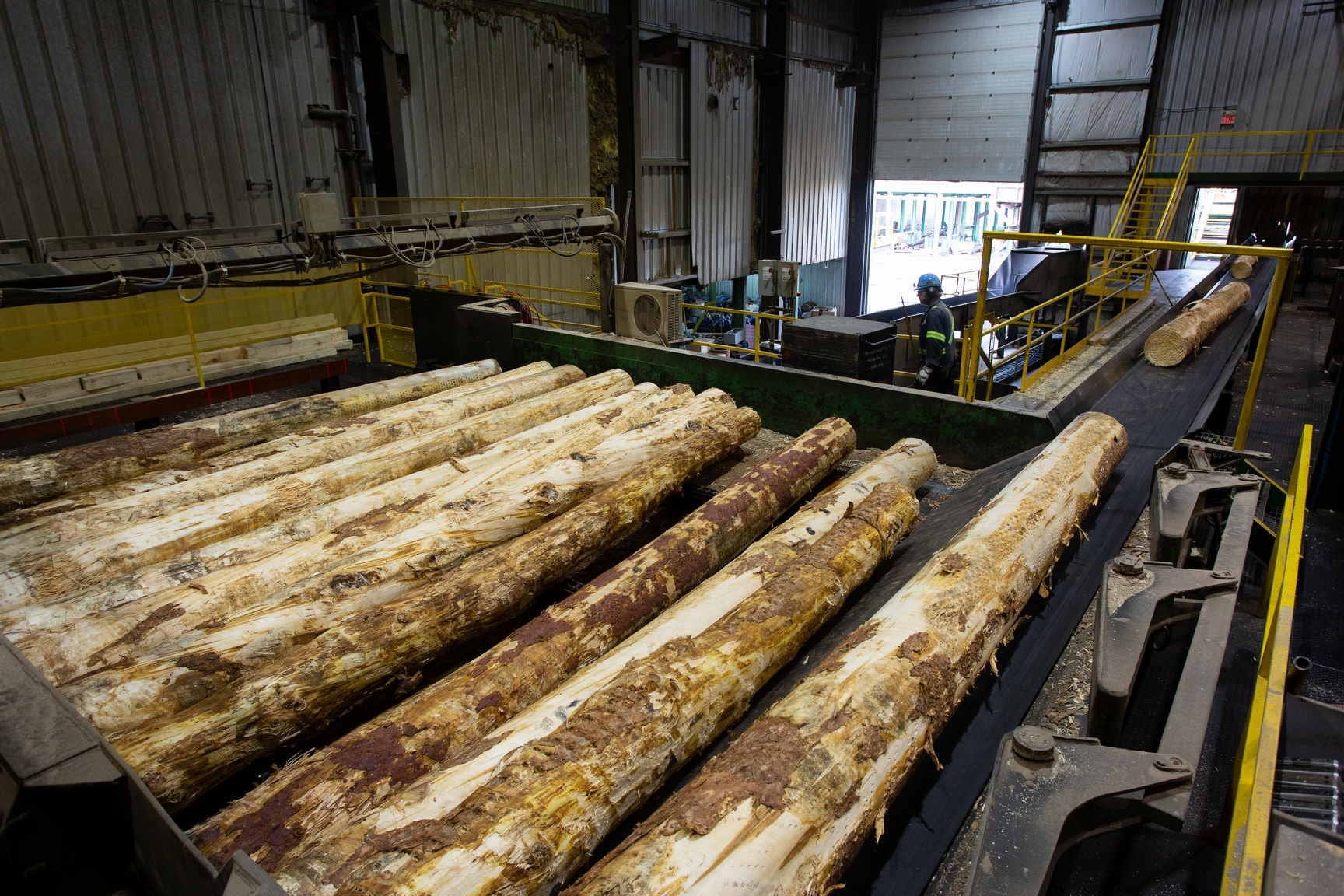 lumber production photography